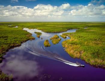 Airboat Tour In Everglades National Park Near Marco Island