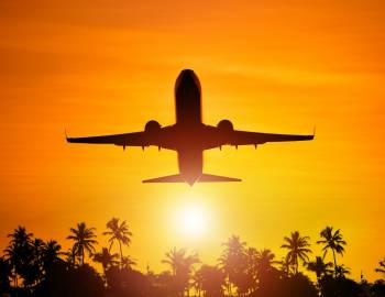 Commercial Airplane Flying Over Palm Trees In Southwest Florida