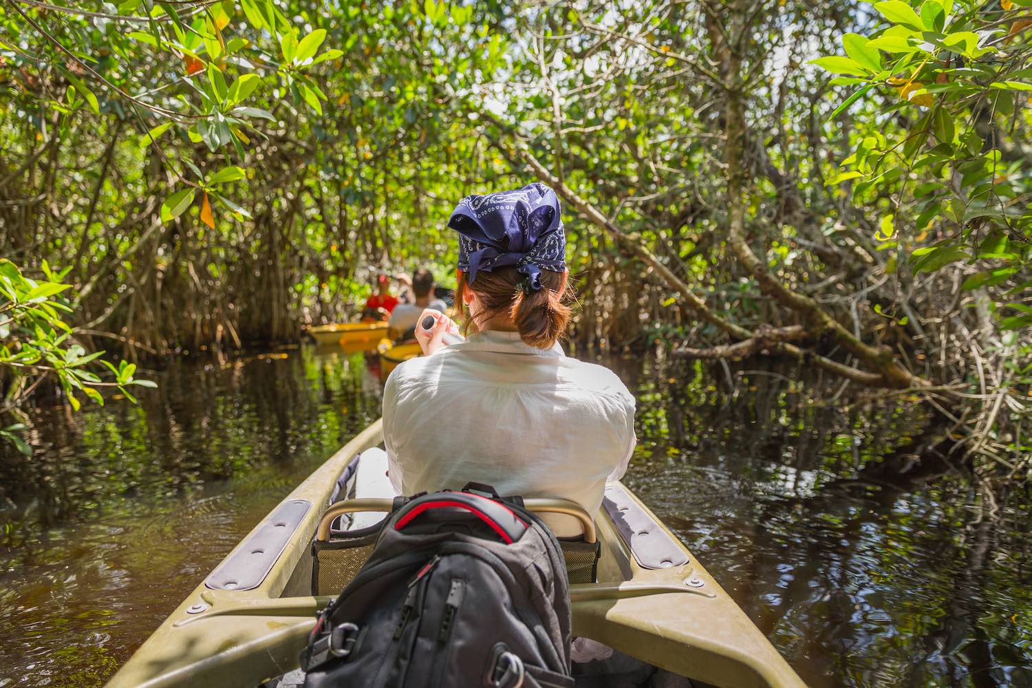 Kayaking In The Florida Everglades
