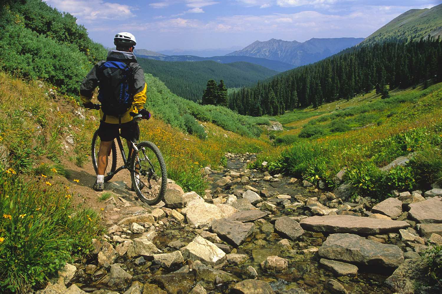 Taking In View On Mountain Bike